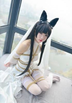 欧美av重口味_高清高清完整版